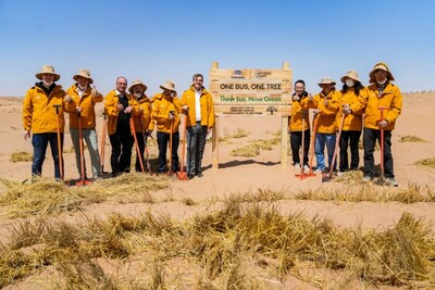 A Yutong trabalha em conjunto com clientes, representantes da mídia e voluntários do mundo todo para plantar árvores Haloxylon ammodendron, resistentes à seca, no deserto de Minqin, na China (PRNewsfoto/Yutong Bus)