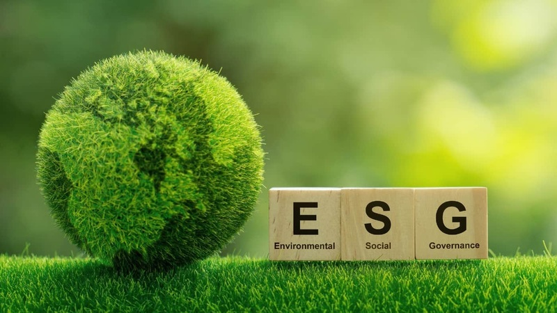 Adequa&ccedil;&atilde;o aos padr&otilde;es ESG &eacute; uma tend&ecirc;ncia nas empresas