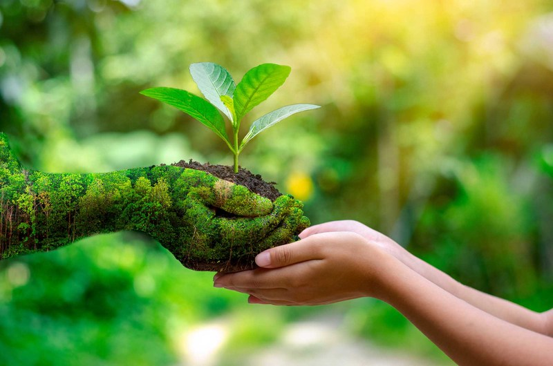 Consci&ecirc;ncia ecol&oacute;gica rege o comportamento dos ecoturistas