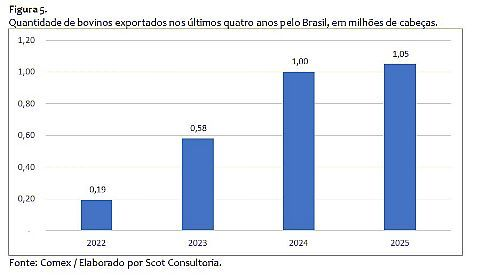 confinamento, uma das ferramentas da transforma&ccedil;&atilde;o da pecu&aacute;ria
