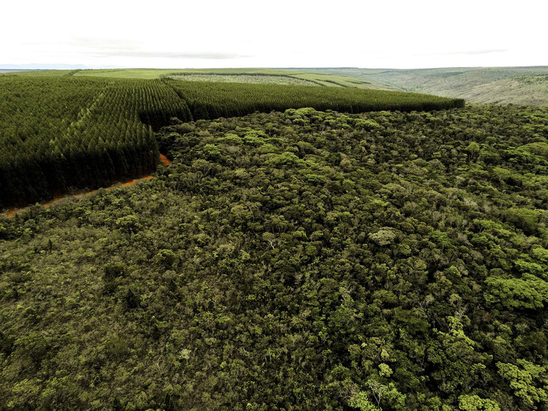 Setores produtivos ampliam a&ccedil;&otilde;es ambientais em Minas Gerais