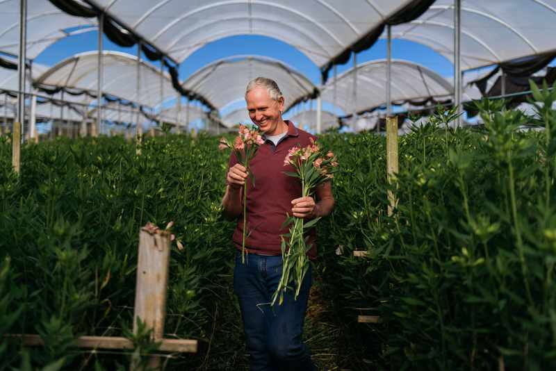 Flor tem origem: o mercado que o Brasil ainda n&atilde;o v&ecirc;
