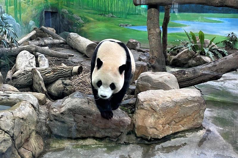 Taiwan re&uacute;ne atra&ccedil;&otilde;es para viagens em fam&iacute;lia com crian&ccedil;as
