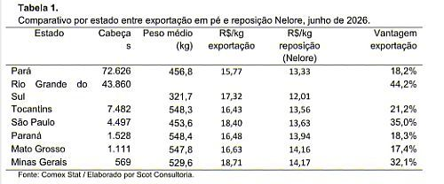 reposi&ccedil;&atilde;o, exportar ou n&atilde;o exportar, eis a quest&atilde;o
