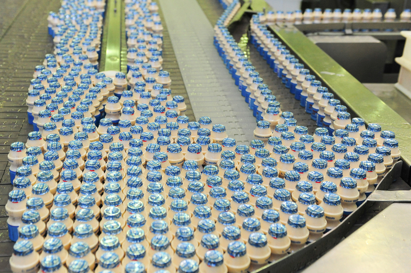 Yakult 40 light completa 10 anos de mercado