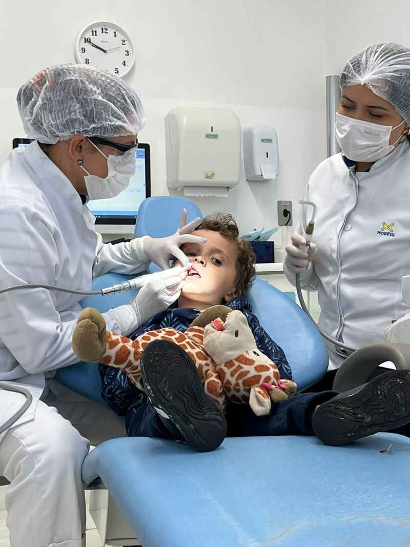 Volta &agrave;s aulas p&otilde;e a consulta odontol&oacute;gica infantil em pauta