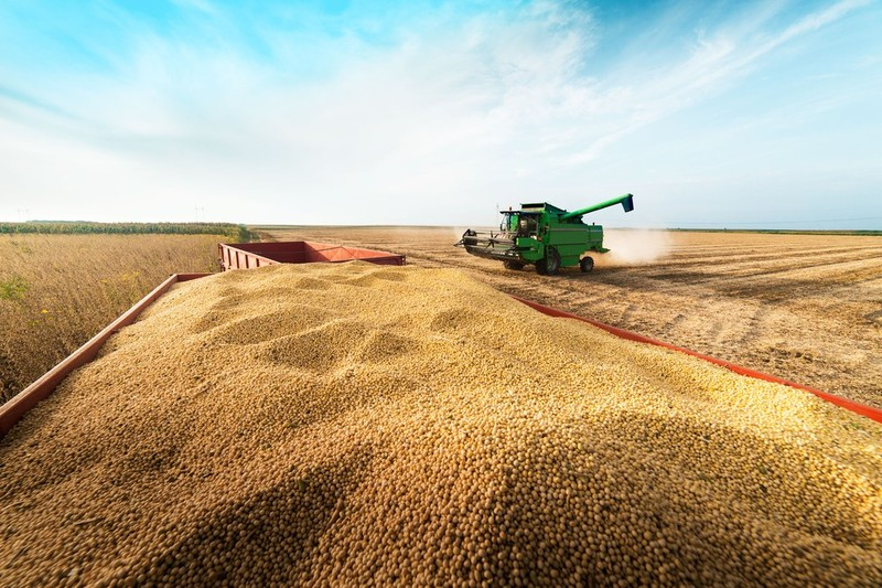 Grupo do agro aprova recupera&ccedil;&atilde;o judicial com des&aacute;gio de 85%